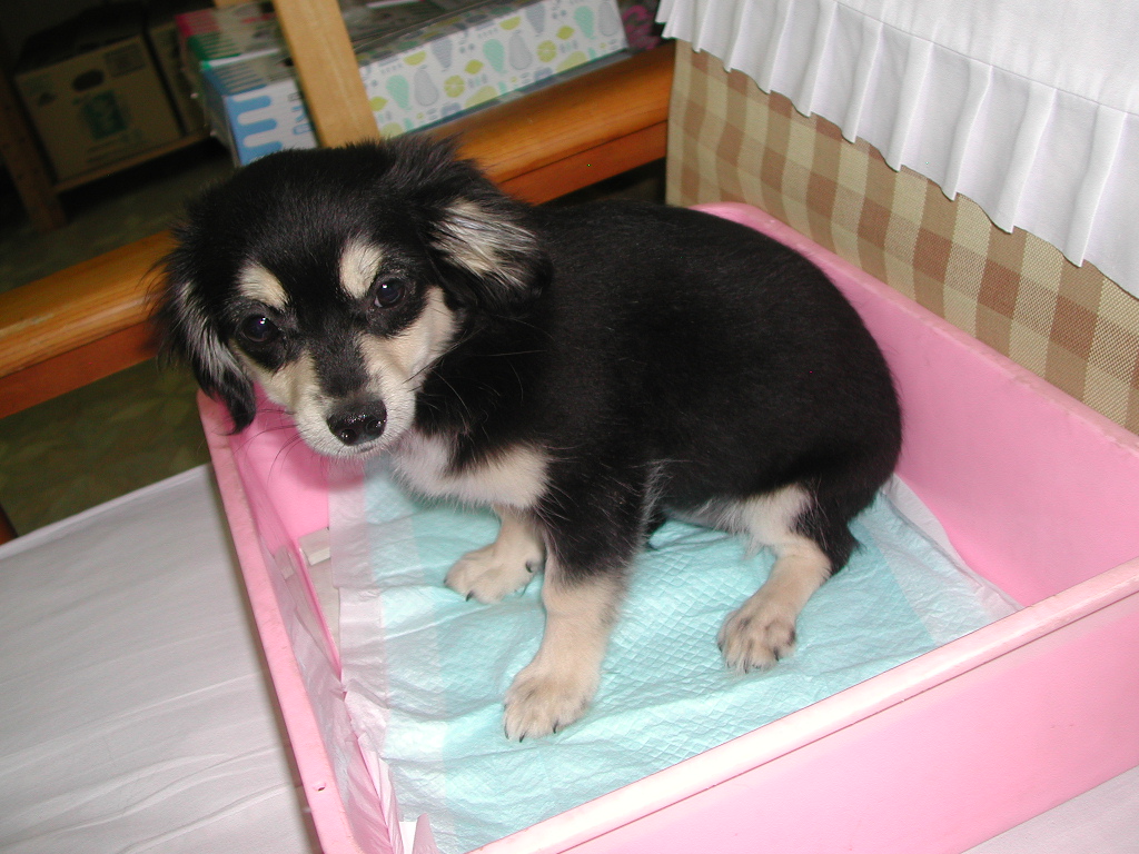 ���̑� NO 11966