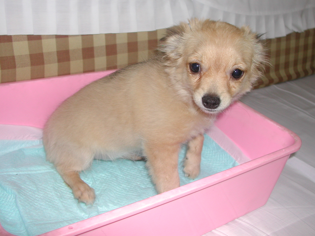 ���̑� NO 11967