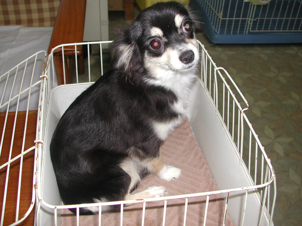 �`�����E�����O NO 11980