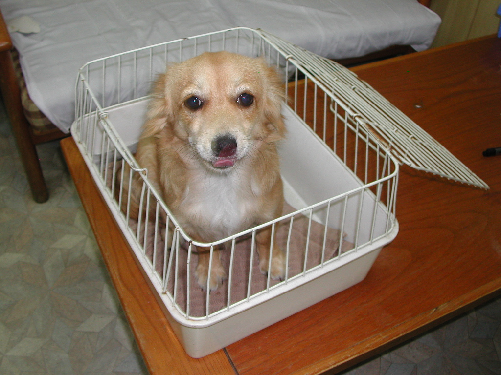 ���̑� NO 11971