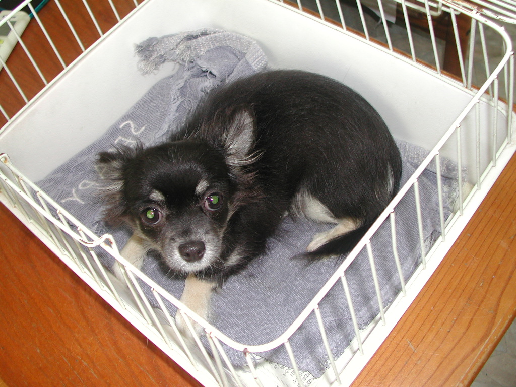 �`�����E�����O NO 11991