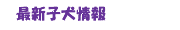 ŐVq